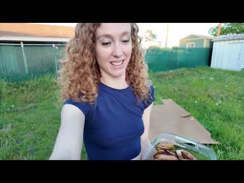 Chicken on the grill