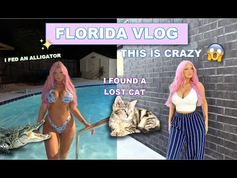 🐊THE CRAZIEST FLORIDA VLOG  😳 Found a lost cat, I feed gators, car on fire, KICKED OFF A PLANE