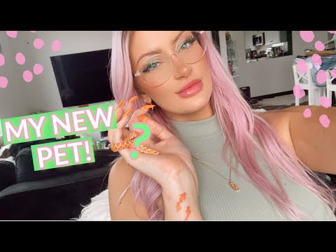 🐥 MY NEW PET! 🐍