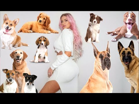 🐶 I FOUND MY DREAM DOG 🐶 DOG FAIR 2019