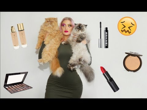 🙀 I LET MY CATS DO MY MAKEUP 😭 BIG FAIL