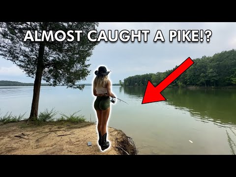 Fishing is hard | VOD