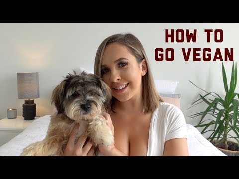 HOW TO GO VEGAN – Tips to make going vegan easy!