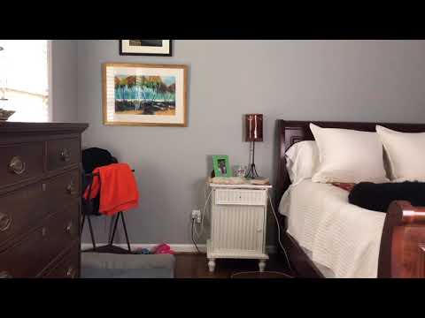 I got new sports bras, but do they fit? (Try on haul)