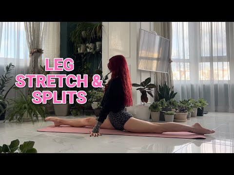 Leg Stretch Routine for Flexibility & Splits