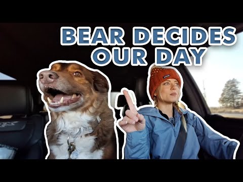 Letting My Dog Decide Our Day!