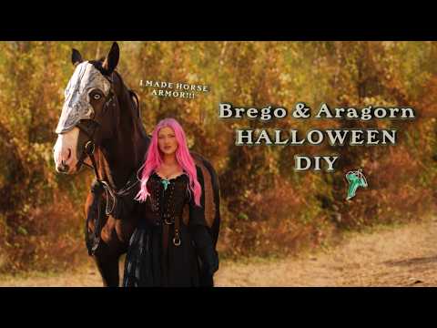 Lord of The Rings 🗡️🐴🎃 DIY COSTUME 2024