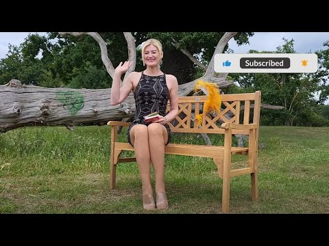 Meggie Style FULL Diamond Crystal Dress Nylon Nude Pantyhose Tan Stockings Translucent Mules Review