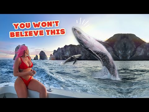 ~ MIND BLOWN 🐋🤯~ VLOGMAS part 4 🩷