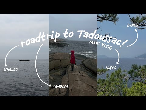 mini road trip to Tadoussac :)🌲🐋 whale watching!