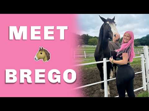 MY BIGGEST DREAM came TRUE  🥹🐴