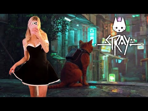 Playing Stray for the first time! Just chatting!