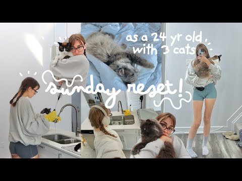 sunday reset 🧽🐈‍⬛ as a 24 year old with 3 cats!!