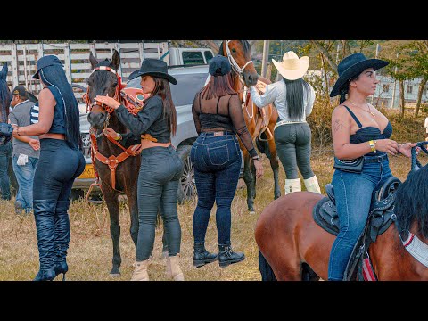 THE BEST VIDEO YOU'LL WATCH TODAY 😎 Stunning Cowgirls Riding 🐴 #horseriding #rodeo