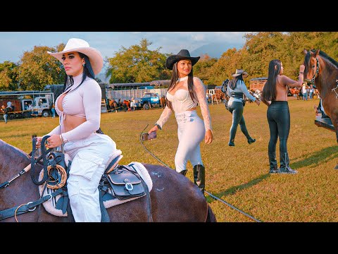The Most Sexy Women in Colombia | Pretty Cowgirls Ride Horses