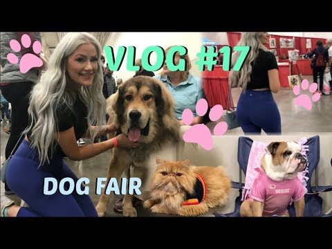 VLOG #17 / Wisconsin Dog Fair / cat sweaters?
