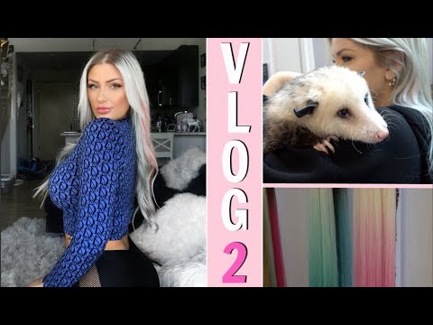 VLOG 2 / 2019 / I HELD A OPOSSUM