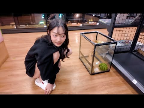 Yuri’s Pet Diary: Leopard Gecko｜苡昕的寵物日記：豹紋守宮｜유리의 반려동물 일기: 레오파드 게코｜Yuriのペット日記：ヒョウモントカゲモドキ